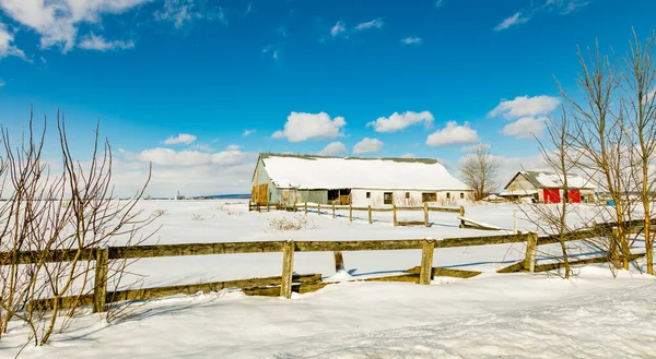 Szenische Aufnahme Des Schneebedeckten Hauses Auf Die Natur — Stockfoto