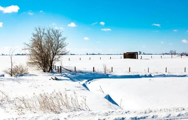 Szenische Aufnahme Von Gebäuden Die Sonnigen Tagen Mit Schnee Bedeckt — Stockfoto