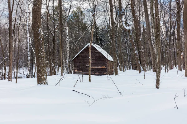 Szenische Aufnahme Des Schneebedeckten Hauses Auf Die Natur — Stockfoto