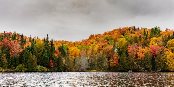 Outono Começa Afetar País Casa Campo Norte Quebec Árvores Que — Fotografia de Stock