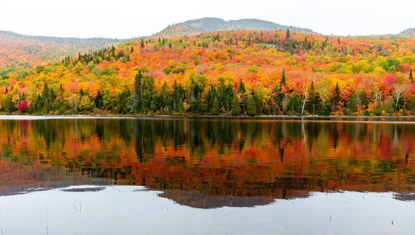 Outono Começa Afetar País Casa Campo Norte Quebec Árvores Que — Fotografia de Stock