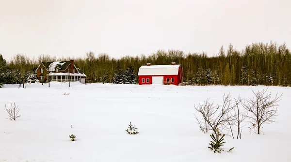 大自然上覆盖着雪的房子的风景画 — 图库照片