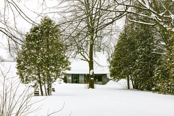 Vue Panoramique Maison Couverte Neige Sur Nature — Photo