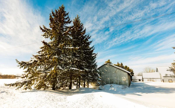 Plano Escénico Casa Cubierta Nieve Naturaleza — Foto de Stock