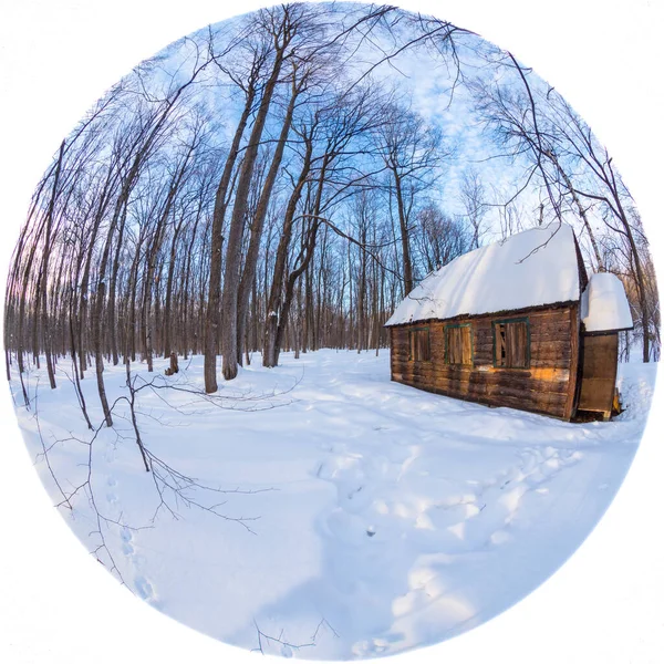 Vue Panoramique Maison Couverte Neige Sur Nature — Photo