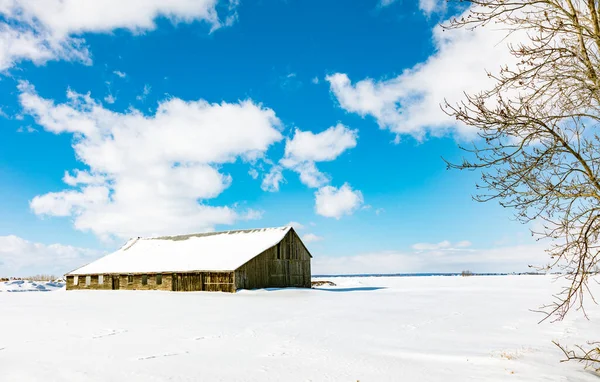 Plano Escénico Casa Cubierta Nieve Naturaleza — Foto de Stock