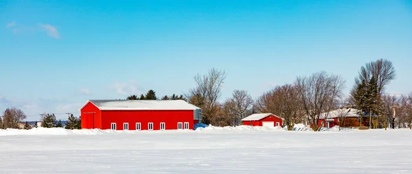 Plano Escénico Casa Cubierta Nieve Naturaleza — Foto de Stock