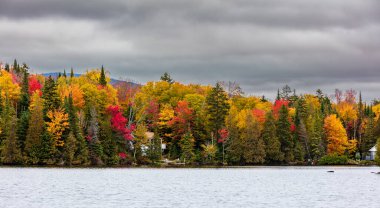 Yazlık ülkeye Kuzey Quebec'te almaya başlayan sonbahar etkiler. Kan kırmızı kış saldırı önce dönüm ağaçlar.
