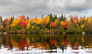 Yazlık ülkeye Kuzey Quebec'te almaya başlayan sonbahar etkiler. Kan kırmızı kış saldırı önce dönüm ağaçlar.