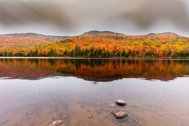 Yazlık ülkeye Kuzey Quebec'te almaya başlayan sonbahar etkiler. Kan kırmızı kış saldırı önce dönüm ağaçlar.