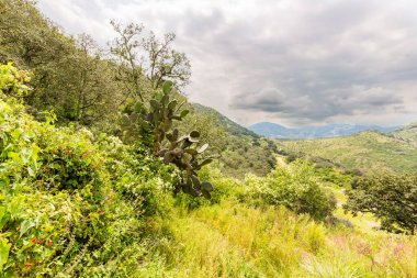 Dağları ve mavi gökyüzü olan güzel bir manzara.