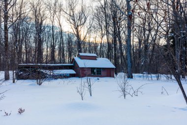 Doğada karla kaplı evin manzaralı görüntüsü.