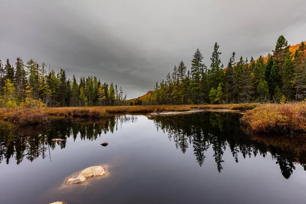 Jesień Zaczyna Nabierać Wpływają Domek Wiejski Quebec Północ Drzew Toczenie — Zdjęcie stockowe