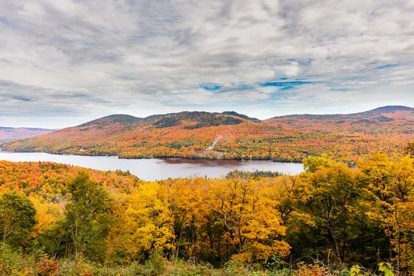 Outono Começa Afetar País Casa Campo Norte Quebec Árvores Que — Fotografia de Stock