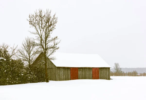 Szenische Aufnahme Des Schneebedeckten Hauses Auf Die Natur — Stockfoto