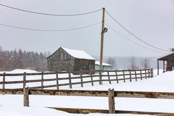 自然の雪に覆われた家の風光明媚なショット — ストック写真