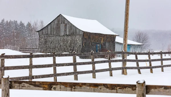 Сцена Заснеженного Дома Природе — стоковое фото