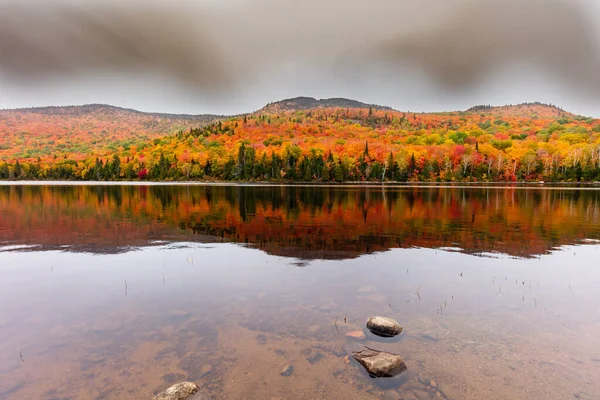 Hösten Börjar Påverka Stuga Land Quebec Norr Träd Som Roterande — Stockfoto