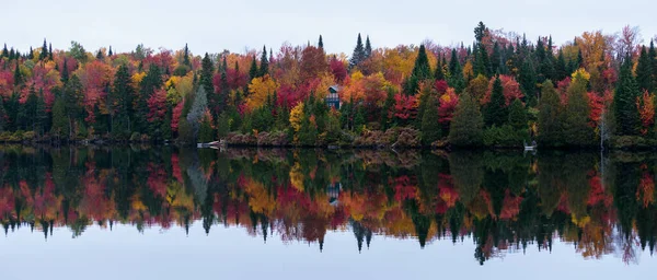 Natursköna Landskap Vacker Höstskog — Stockfoto