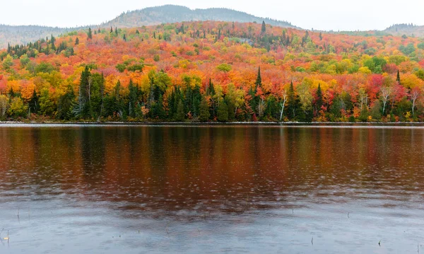 Yazlık ülkeye Kuzey Quebec'te almaya başlayan sonbahar etkiler. Kan kırmızı kış saldırı önce dönüm ağaçlar.
