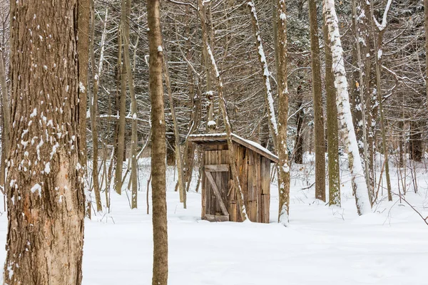 scenic shot of wooden barn in winter forest