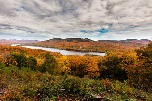 Jesień Zaczyna Nabierać Wpływają Domek Wiejski Quebec Północ Drzew Toczenie — Zdjęcie stockowe