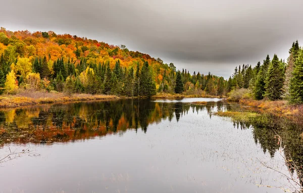 Automne Commence Toucher Campagne Des Chalets Nord Québécois Arbres Virant — Photo