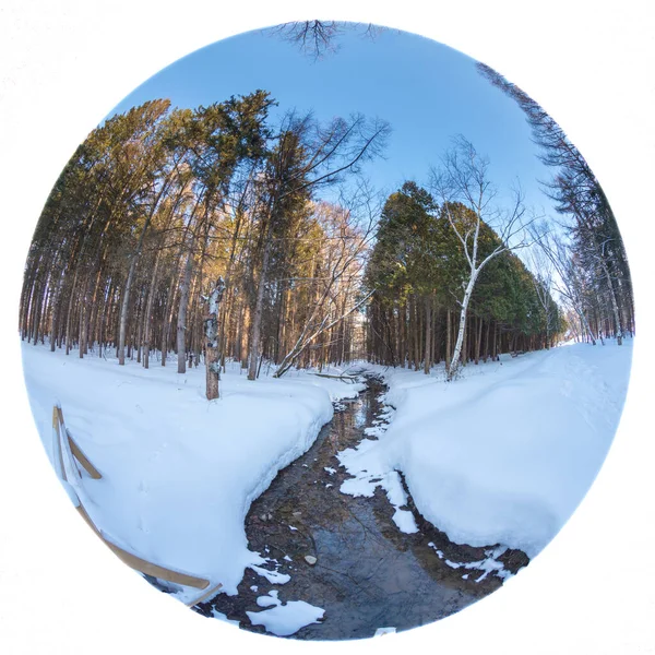 Paysage Hivernal Pittoresque Avec Petite Rivière Forestière Par Une Journée — Photo