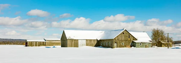 Vue Panoramique Maison Couverte Neige Sur Nature — Photo