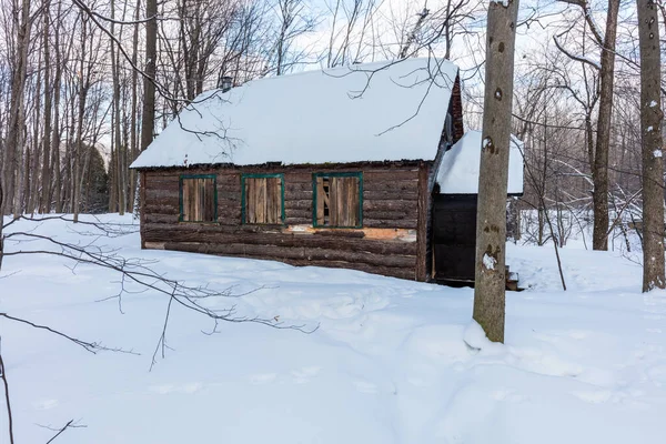 Scenic Shot Snow Covered House Nature — Stock Photo, Image
