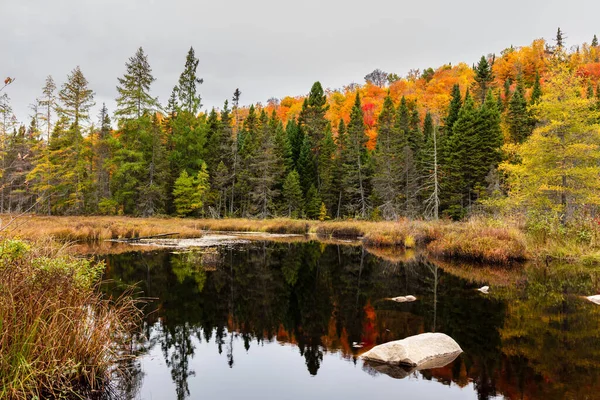 Outono Começa Afetar País Casa Campo Norte Quebec Árvores Que — Fotografia de Stock