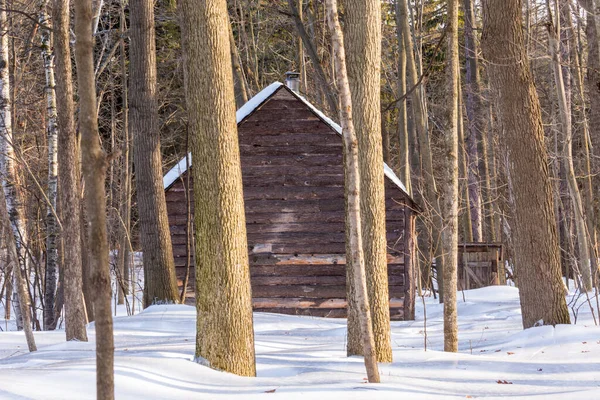 Vue Panoramique Maison Couverte Neige Sur Nature — Photo