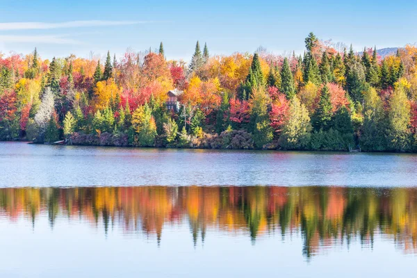 Natursköna Landskap Vacker Höstskog — Stockfoto