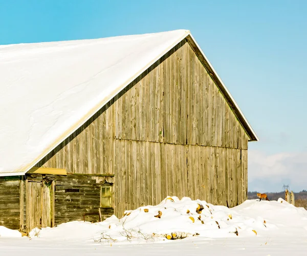 Plano Escénico Casa Cubierta Nieve Naturaleza — Foto de Stock