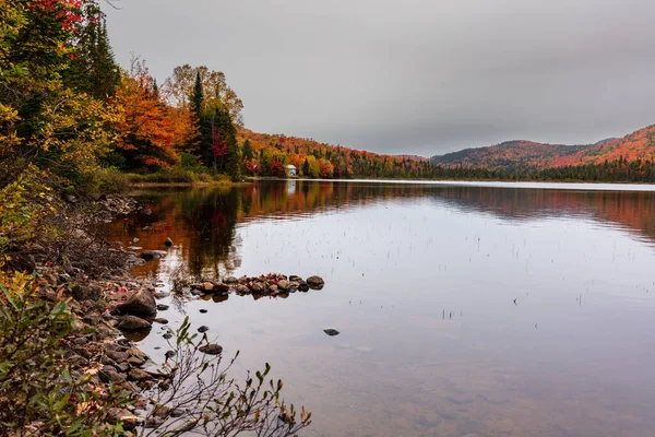 Yazlık ülkeye Kuzey Quebec'te almaya başlayan sonbahar etkiler. Kan kırmızı kış saldırı önce dönüm ağaçlar.