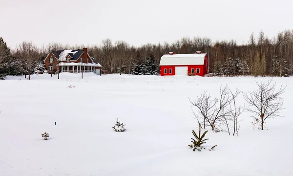 Szenische Aufnahme Des Schneebedeckten Hauses Auf Die Natur — Stockfoto