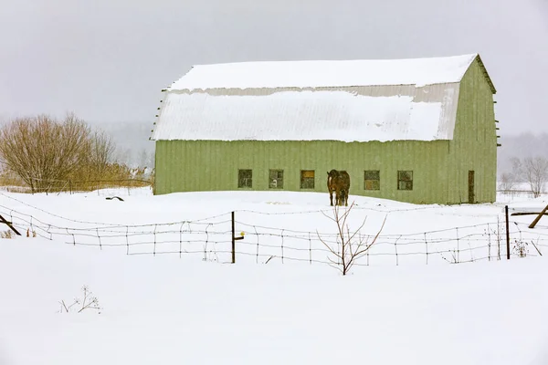 Plano Escénico Casa Cubierta Nieve Naturaleza — Foto de Stock