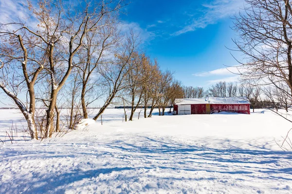自然の雪に覆われた家の風光明媚なショット — ストック写真