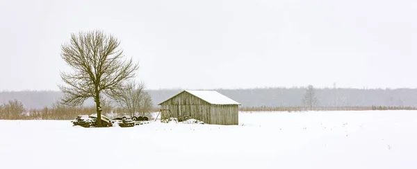 stock image scenic shot of snow covered house on nature