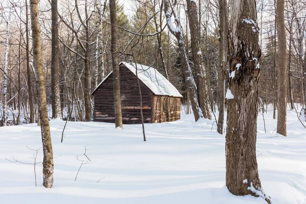 Szenische Aufnahme Des Schneebedeckten Hauses Auf Die Natur — Stockfoto