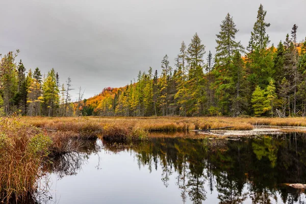 Autumn Beginning Take Affect Cottage Country Quebec North Trees Turning Royalty Free Stock Images