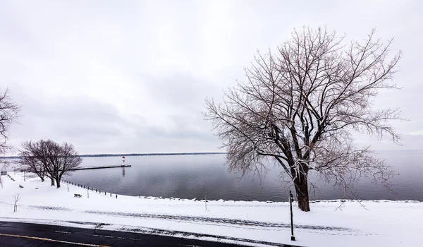 Malerische Landschaft Mit Wunderschönem See Und Einsamem Baum Wintermorgen — Stockfoto