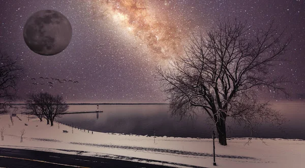 Schilderachtig Landschap Van Prachtige Meer Eenzame Boom Winterochtend Bewerkt Met — Stockfoto