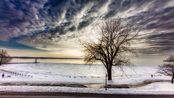 Festői Táj Gyönyörű Magányos Télen Reggel — Stock Fotó