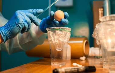 Bilim adamı şeffaf bir fincanda yumurta kırıyor..