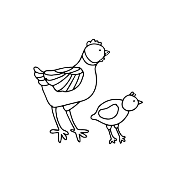 一只可爱的母鸡和一只涂鸦风格的小鸡 孤立的轮廓 白色背景上的黑色墨水手绘矢量图 彩色书和复活节产品设计的单幅图片 — 图库矢量图片