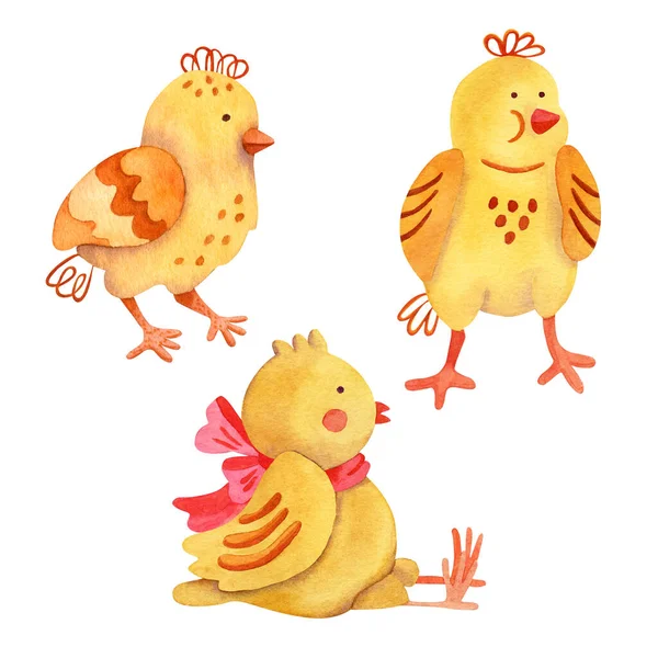 Three Cute Little Chickens Watercolor Illustration White Background Great Easter — 스톡 사진