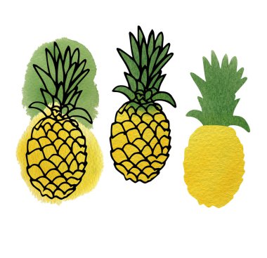 Farklı stillerde suluboya ananas seti. Siyah mürekkep karalamalı ve boyasız renkli lekeler. El çizimi yaz çizimi beyaz arkaplanda izole.