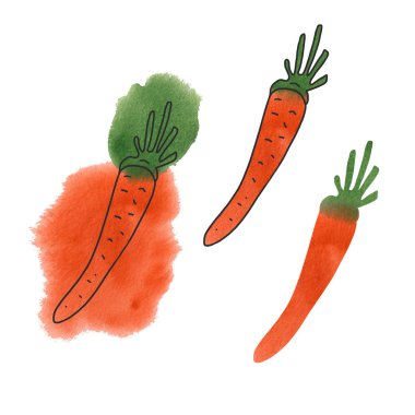  Farklı stillerde suluboya havuçlar. Siyah mürekkep karalamalı renk lekeleri. El çizimi sebze çizimi beyaz arkaplanda izole.