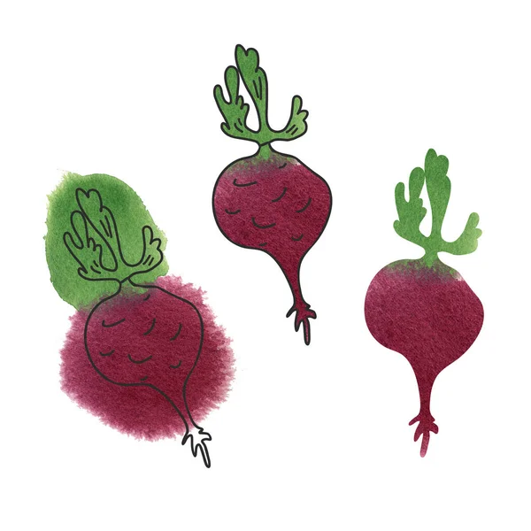 Set Watercolor Beetroots Different Styles Color Stains Black Ink Doodle — Stock Photo, Image